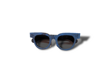 Load image into Gallery viewer, 22 DEGREE EYEWEAR N23P