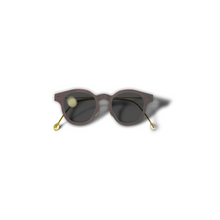 Load image into Gallery viewer, 22 DEGREE EYEWEAR N24
