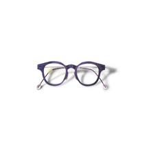 Load image into Gallery viewer, 22 DEGREE EYEWEAR N24