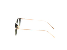 Load image into Gallery viewer, Padma Image